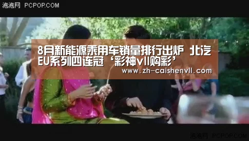 8月新能源乘用车销量排行出炉 北汽EU系列四连冠‘彩神vll购彩’(图2) 彩神vll购彩
