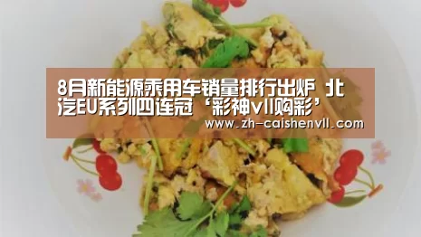 8月新能源乘用车销量排行出炉 北汽EU系列四连冠‘彩神vll购彩’(图4) 彩神vll购彩
