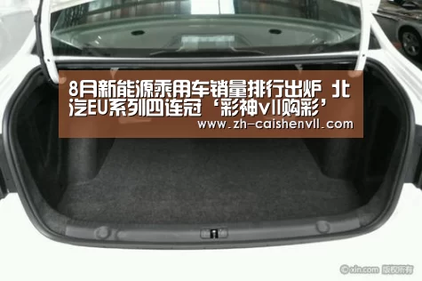 8月新能源乘用车销量排行出炉 北汽EU系列四连冠‘彩神vll购彩’(图3) 彩神vll购彩
