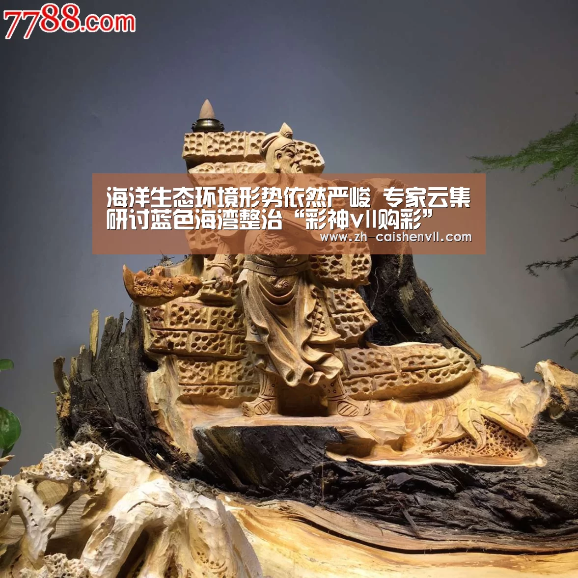 海洋生态环境形势依然严峻 专家云集研讨蓝色海湾整治“彩神vl