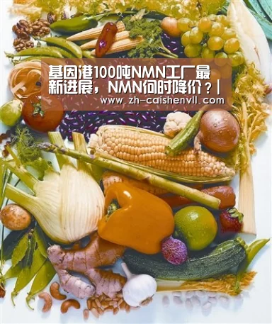 基因港100吨NMN工厂最新进展，NMN何时降价？|彩神vl