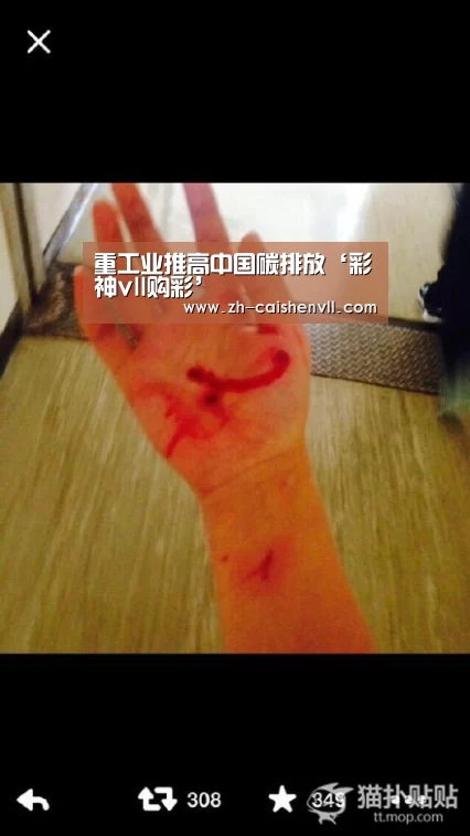 重工业推高中国碳排放‘彩神vll购彩’(图2) 彩神vll购彩