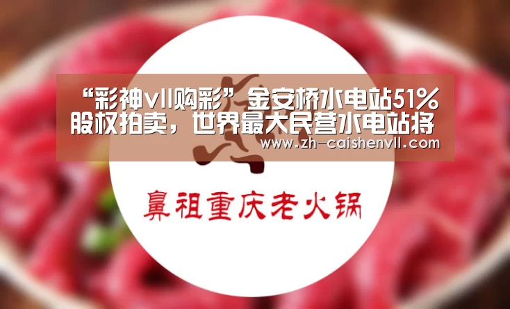 “彩神vll购彩”金安桥水电站51%股权拍卖,世界最大民营水电站将易主(图4) 彩神vll购彩