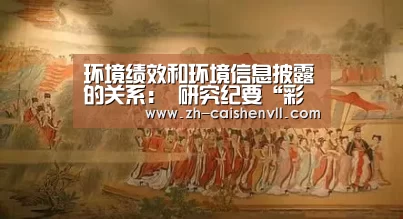 环境绩效和环境信息披露的关系: 研究纪要“彩神vll购彩”(图4) 彩神vll购彩
