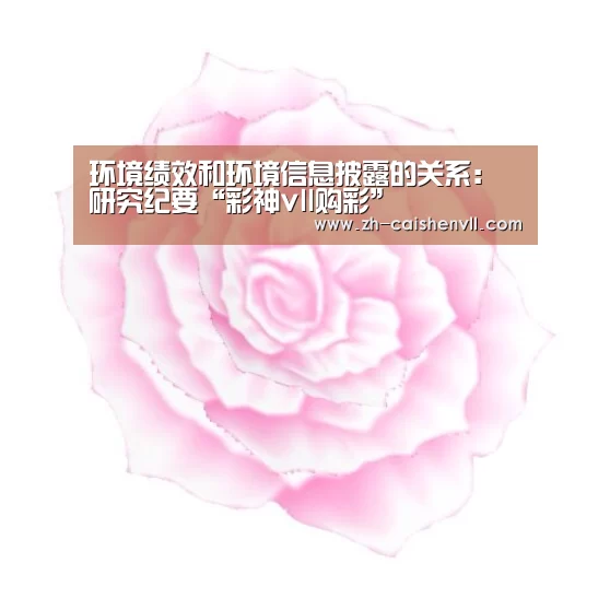 环境绩效和环境信息披露的关系: 研究纪要“彩神vll购彩”(图3) 彩神vll购彩
