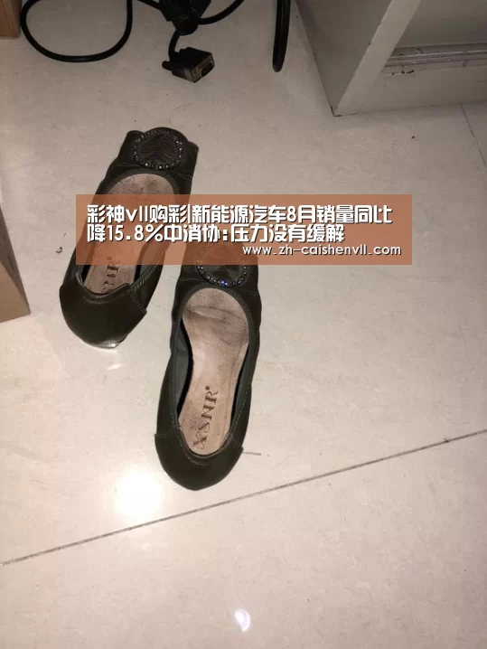 彩神vll购彩|新能源汽车8月销量同比降15.8%中消协:压