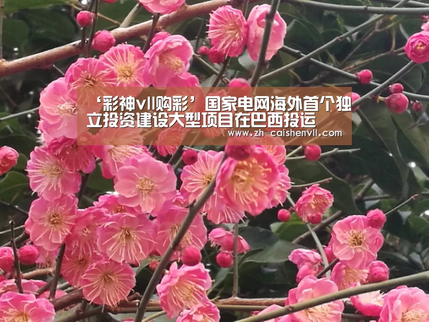 彩神vll购彩