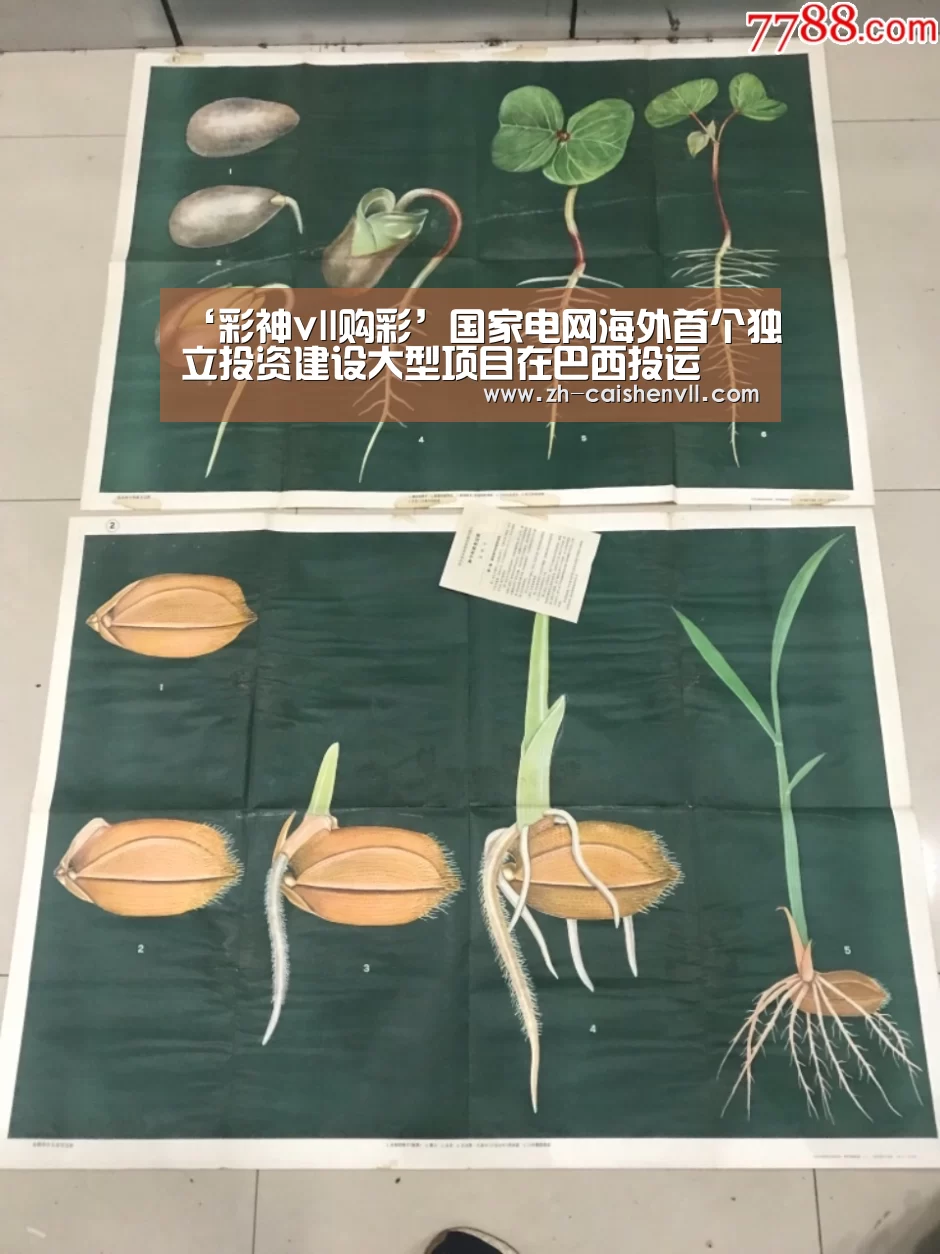 彩神vll购彩